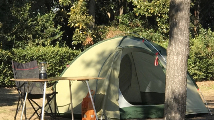 Solo Camping (Foto: https://rocketnews24.com/2020/02/05/1330287/)