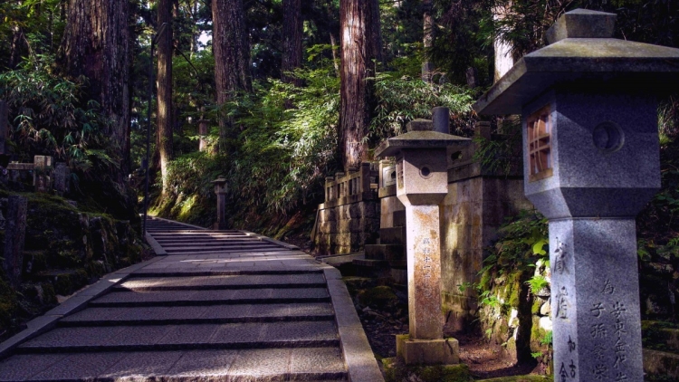 dabdeee4-153a-11e8-af80-0af0cba29dd8 dabdeee4-153a-11e8-af80-0af0cba29dd8