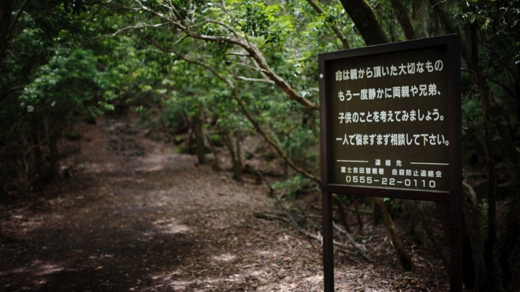 Rambu di Aokigahara untuk mencegah pengunjung melakukan bunuh diri (cnn.com) Rambu di Aokigahara untuk mencegah pengunjung melakukan bunuh diri (cnn.com)