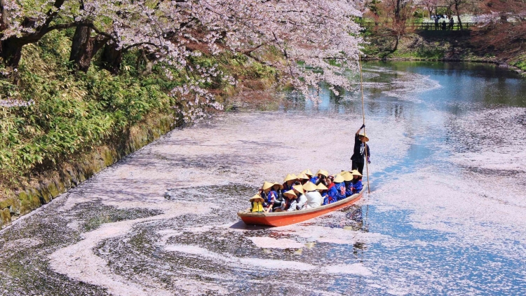 1. Taman Hirosaki 1. Taman Hirosaki