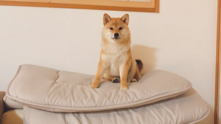 ES4se6OUwAAXal0 ES4se6OUwAAXal0