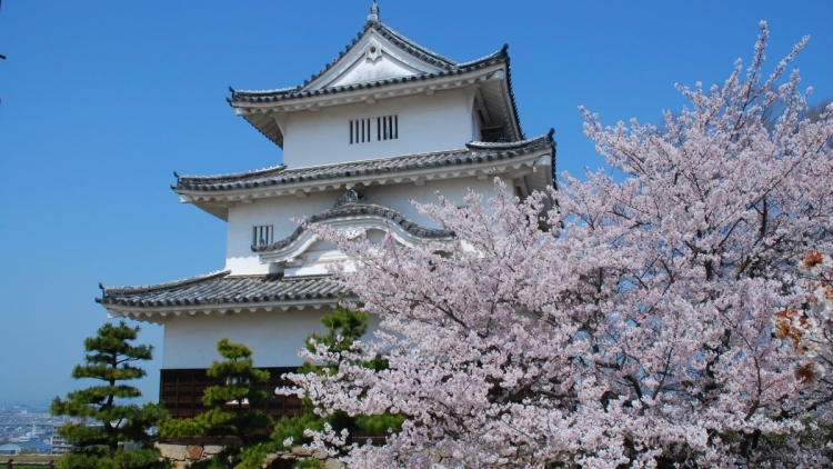 Kastil Marugame Kastil Marugame