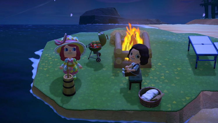 https___bae.hypebeast.com_files_2020_04_animal-crossing-things-to-do-bored-acnh-nintendo-switch-8