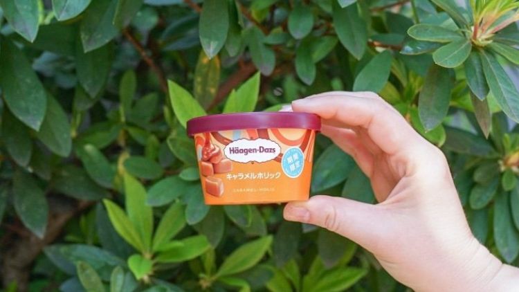 Häagen-Dazs Caramel Holic Häagen-Dazs Caramel Holic