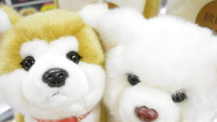 Boneka Akita-inu Boneka Akita-inu