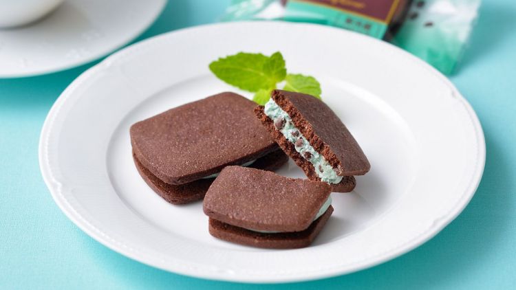 Chocolate Mint Sable