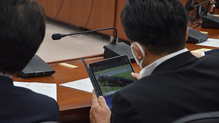 Takuya Hirai, politikus Jepang yang menonton video buaya Takuya Hirai, politikus Jepang yang menonton video buaya