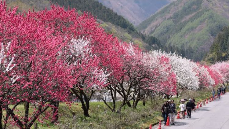 Ilustrasi wisata Jepang