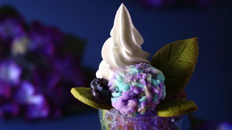 Matcha Parfait Hydrangea