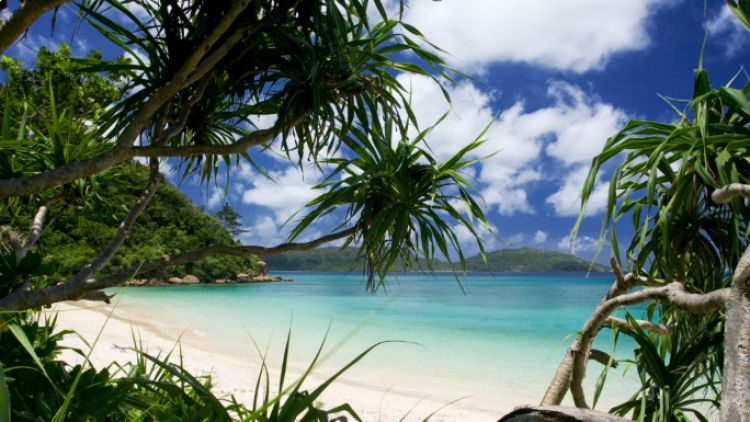 Okinawa Iriomote japanesestation.com