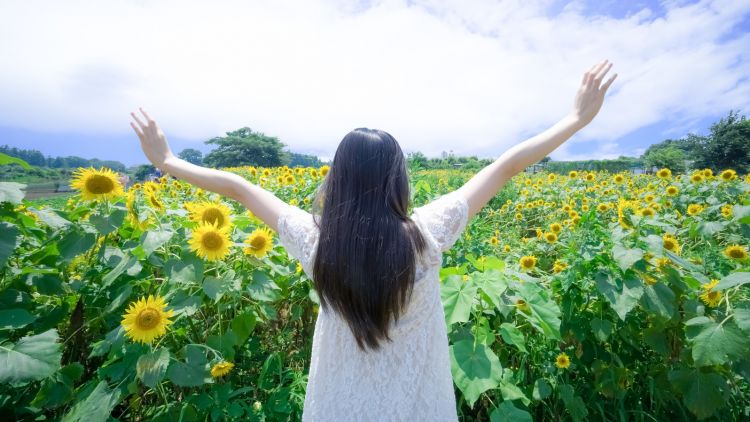 Ilustrasi bebas Wanita Jepang menikah japanesestation.com