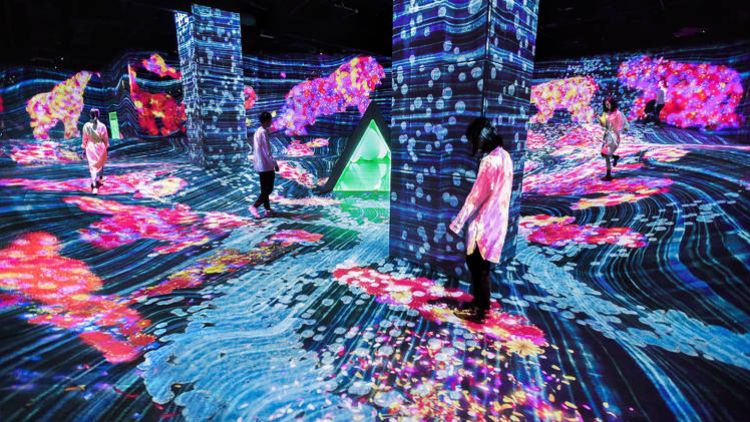 teamLab Forest Fukuoka