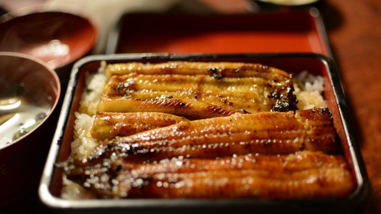 Unagi Unagi