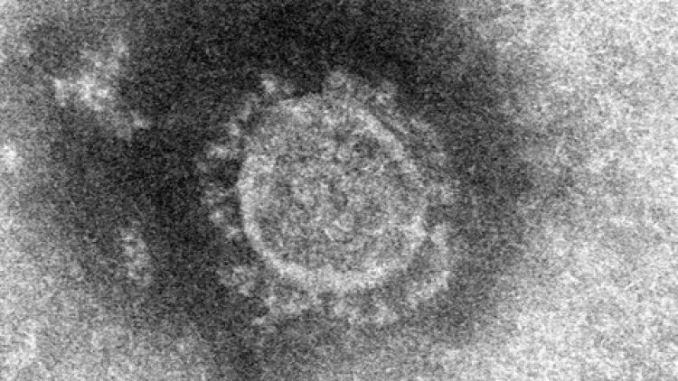 virus corona penularan japanesestation.com