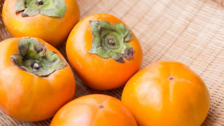 buah kesemek musim gugur