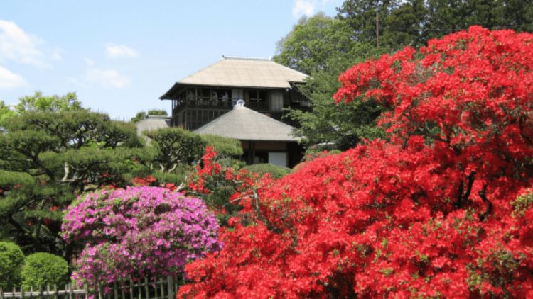 wisata Jepang Ibaraki japanesestation.com