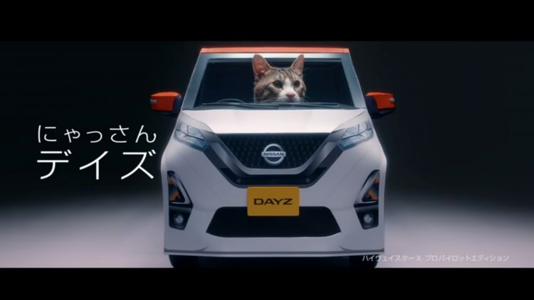 Nissan "Nyasan Dayz" nyasan dayz