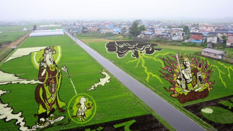 Seni ladang padi di Inakadate seni ladang padi japanesestation.com