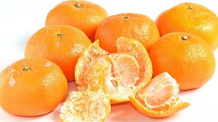 Jeruk Mandarin Jeruk Mandarin