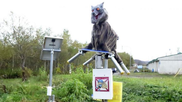 robot serigala Jepang japanesestation.com