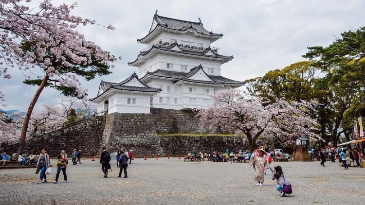 5 Tempat Wisata Dengan Pemandangan Ikonik Jepang di Sekitar Tokyo | Berita  Jepang Japanesestation.com