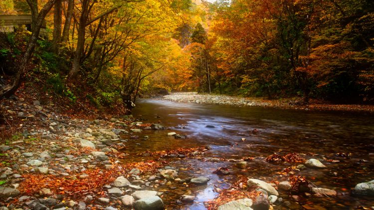 remote work pedesaan Jepang japanesestation.com