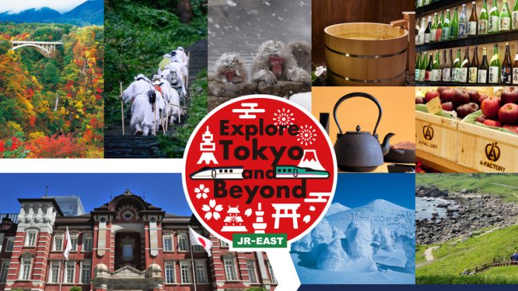 jr east welcome rail pass 2020