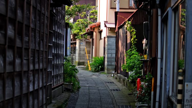 Rumah Jepang Rumah Jepang