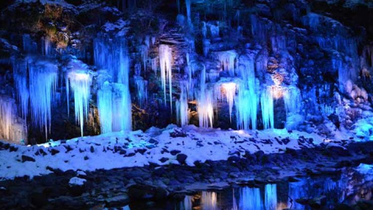 Misotsuchi Iciclies misotsuchi