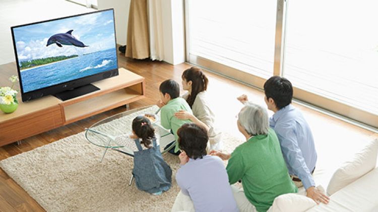 Acara TV di Jepang
