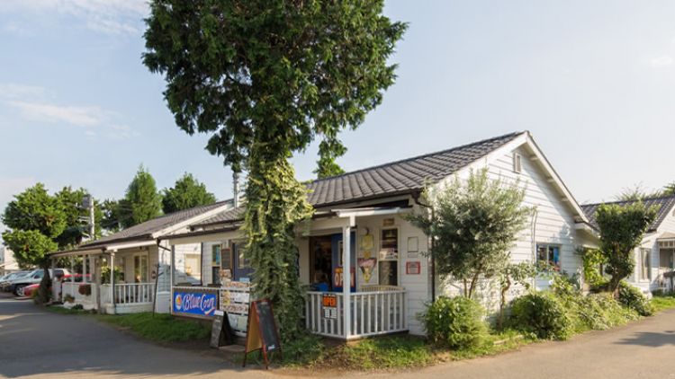 Johnson Town Johnson Town