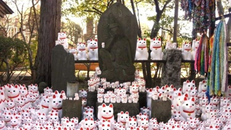 Manekineko