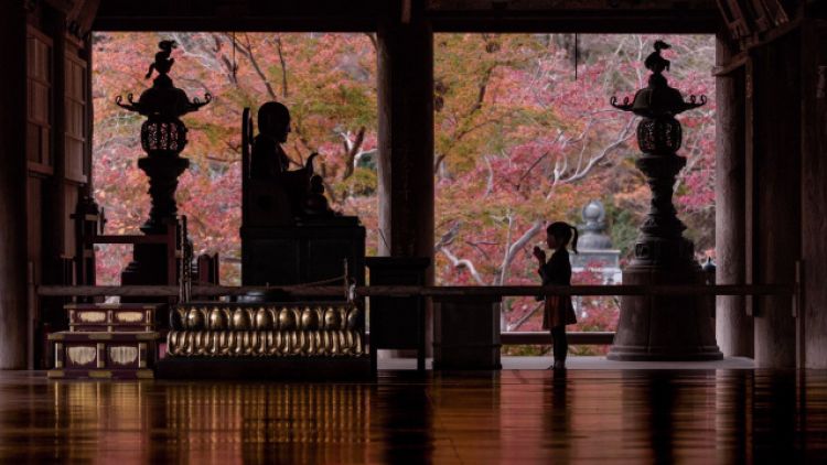 Foto putri @shingo_camera