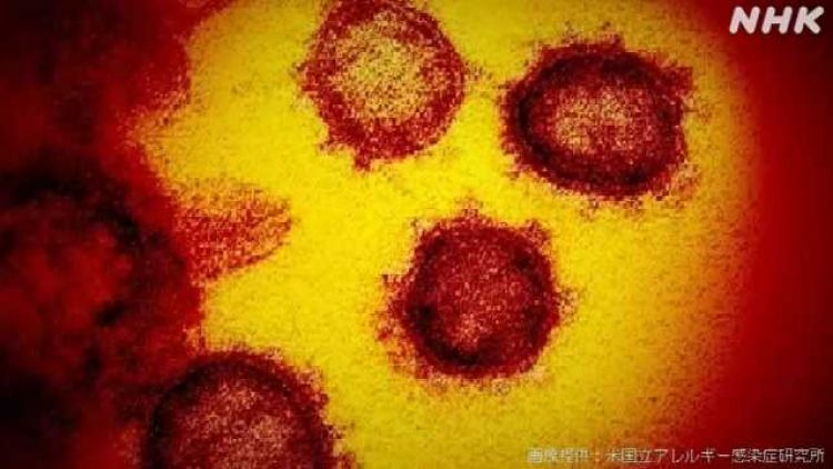 Virus COVID-19 covid-19 bunuh diri jepang japanesestation.com