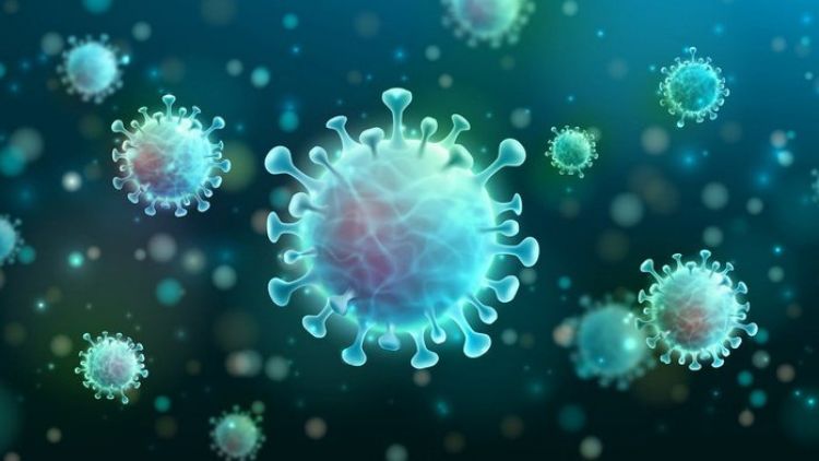 Virus COVID-19 imigrasi jepang covid-19 japanesestation.com
