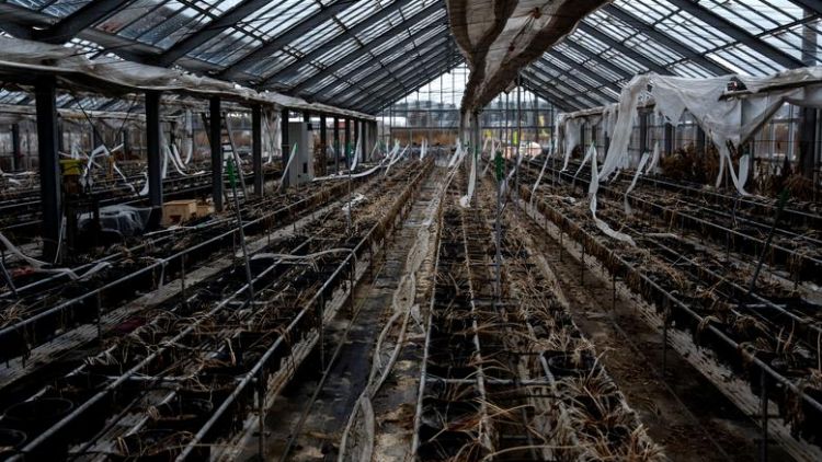 Futaba bencana nuklir fukushima futaba japanesestation.com