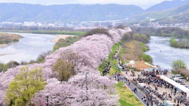 Yodogawa Riverside Park jepang