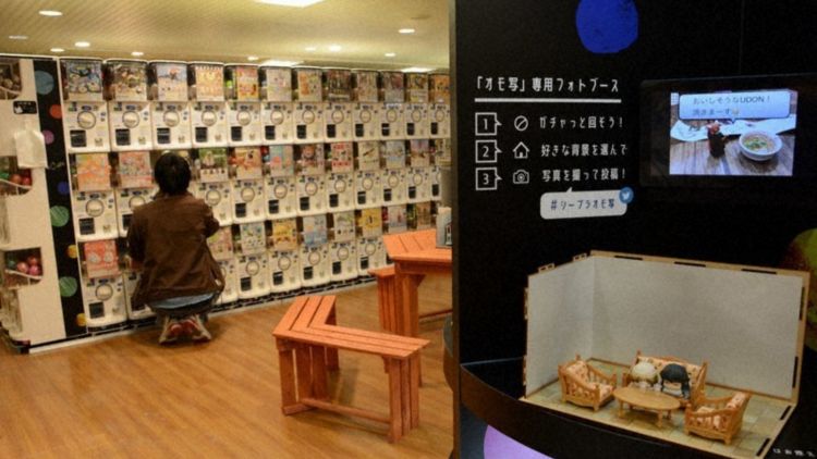 Toko dengan 1000 mesin gacha hadir di sapporo japanesestation.com