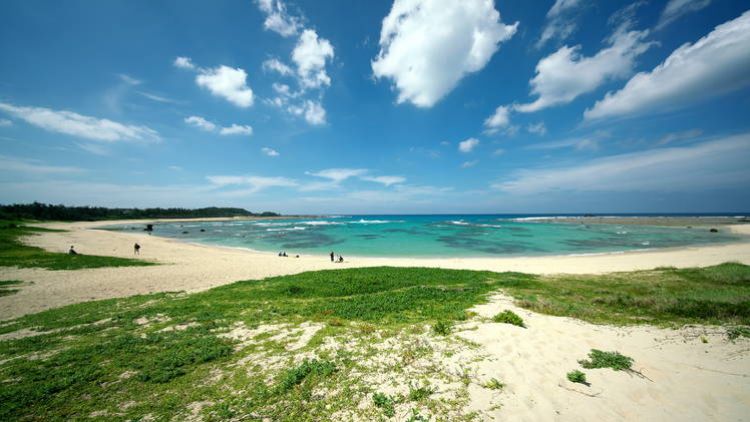 Amami-Oshima island