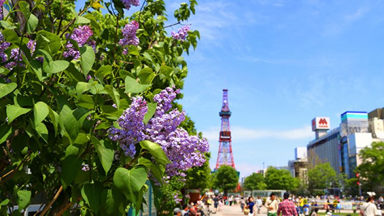 Odori Park, Sapporo Odori Park, Sapporo