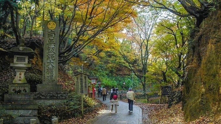 Suasana jalur pendakian Gunung Takao (Japan Guide)