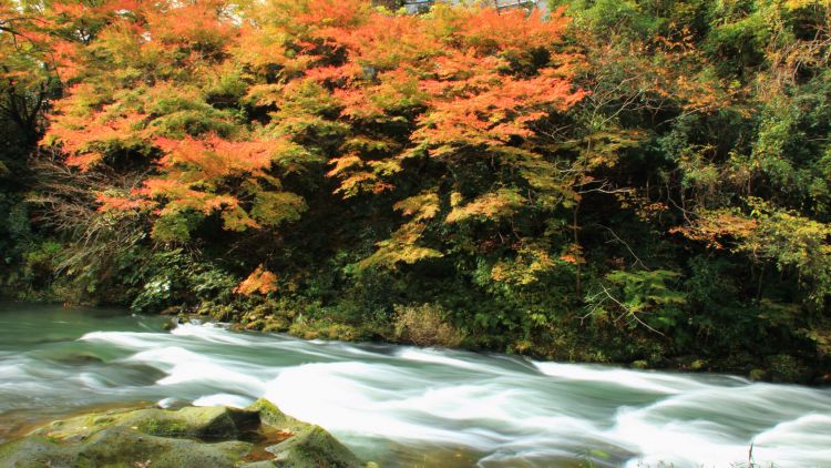 Kaga Onsen, Pemandian Air Panas di Kaki Gunung Haku