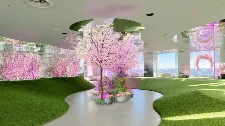 Tenbou-Park Sakura Festival