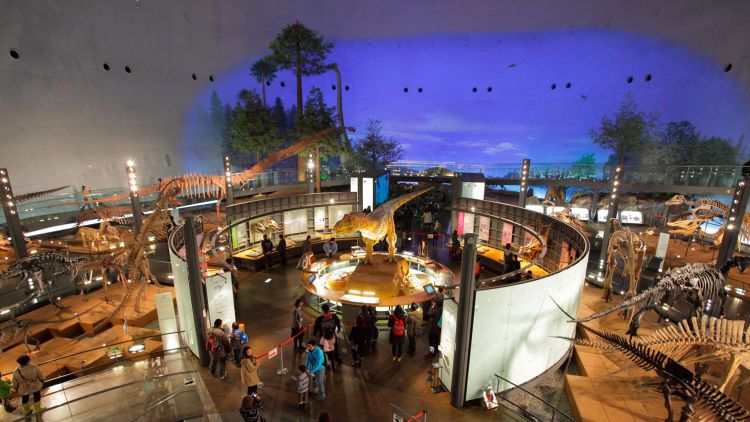 Fukui Prefectural Dinosaur Museum, Salah Satu Museum Terbaik di Dunia Fukui Prefectural Dinosaur Museum, Salah Satu Museum Terbaik di Dunia