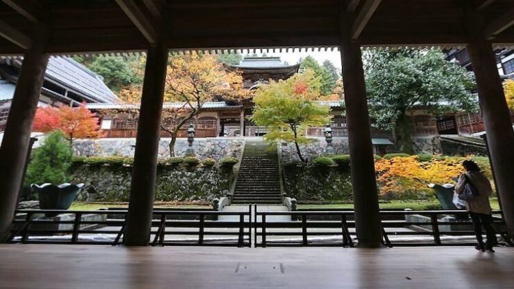 5 Rekomendasi Wisata di Kota Fukui yang Wajib Kalian Kunjungi