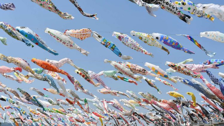 Koinobori Festa 1000 (GoodLuck Trip).
