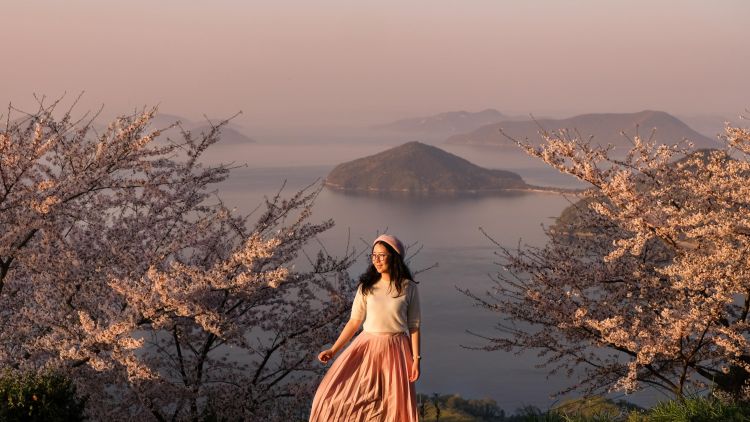 Pemandangan Bunga Sakura di Shiudeyama (The Wandering Cam). Pemandangan Bunga Sakura di Shiudeyama (The Wandering Cam).
