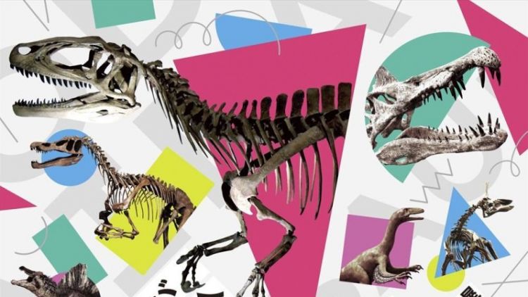 Odaiba Dinosaur Expo 2024 (Fuji Television Co., Ltd).