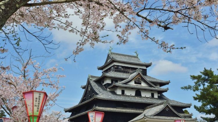Kastil Matsue saat musim semi. Kastil Matsue saat musim semi.