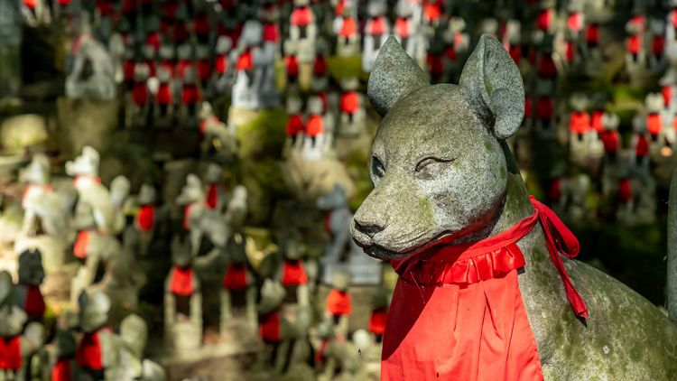 Ratusan patung rubah di Toyokawa Inari (Visit Aichi).